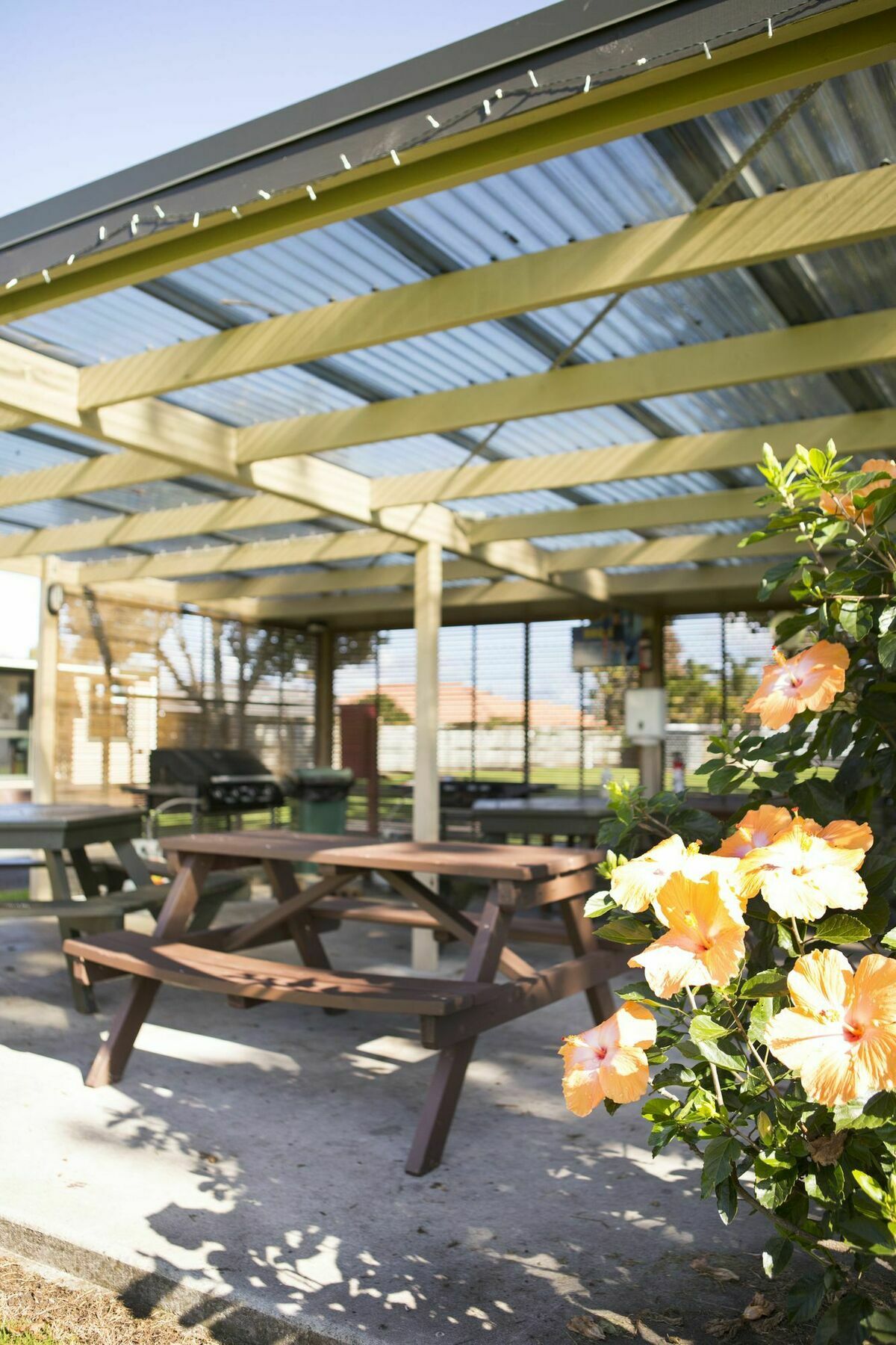 Mercury Bay Holiday Park Whitianga Εξωτερικό φωτογραφία