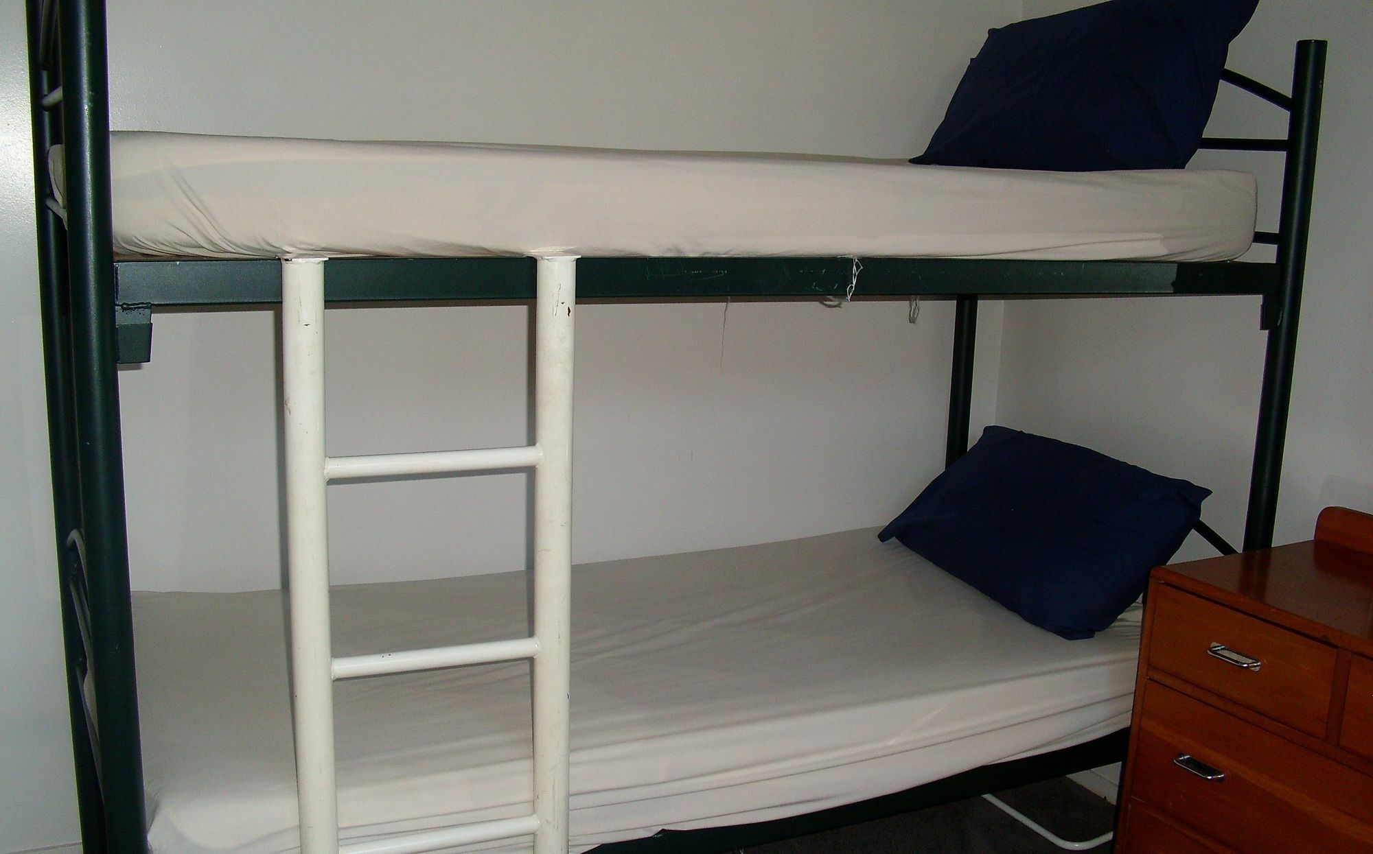 Mercury Bay Holiday Park Whitianga Εξωτερικό φωτογραφία